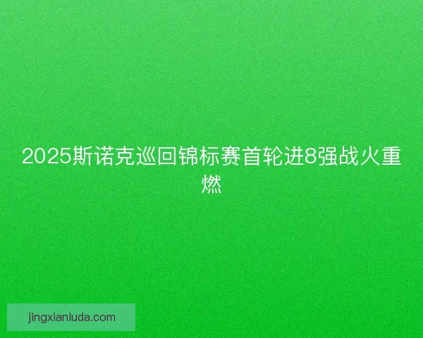 2025斯诺克巡回锦标赛首轮进8强战火重燃 2025斯诺克巡回锦标赛首轮进8强战火重燃