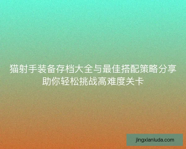 猫射手装备存档大全与最佳搭配策略分享助你轻松挑战高难度关卡