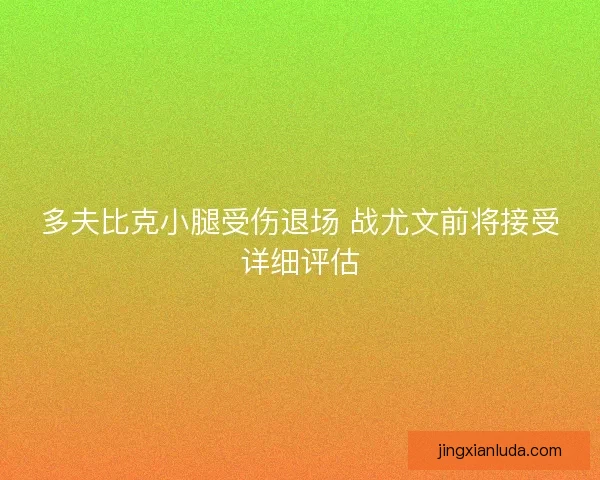 多夫比克小腿受伤退场 战尤文前将接受详细评估 多夫比克小腿受伤退场 战尤文前将接受详细评估