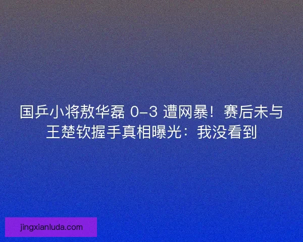国乒小将敖华磊 0-3 遭网暴！赛后未与王楚钦握手真相曝光：我没看到