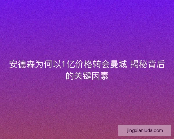 安德森为何以1亿价格转会曼城 揭秘背后的关键因素