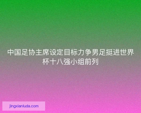 中国足协主席设定目标力争男足挺进世界杯十八强小组前列
