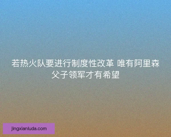 若热火队要进行制度性改革 唯有阿里森父子领军才有希望