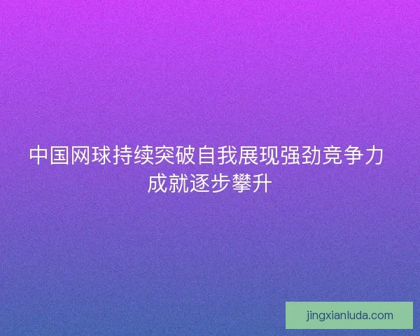 中国网球持续突破自我展现强劲竞争力 成就逐步攀升 中国网球持续突破自我展现强劲竞争力 成就逐步攀升